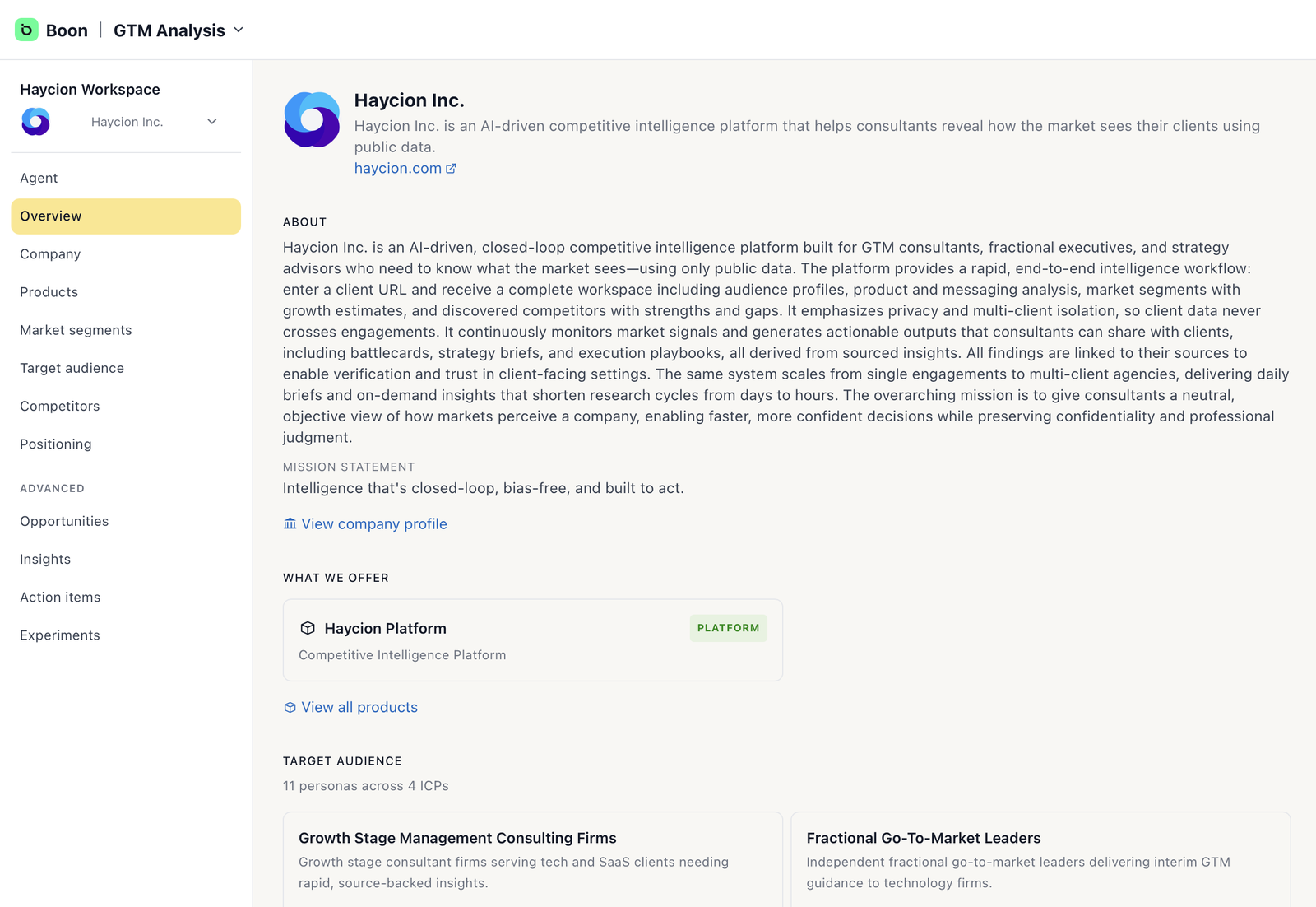 GTM Analysis Overview page summarizing the company: description, what the company offers, and the start of the target audience section.